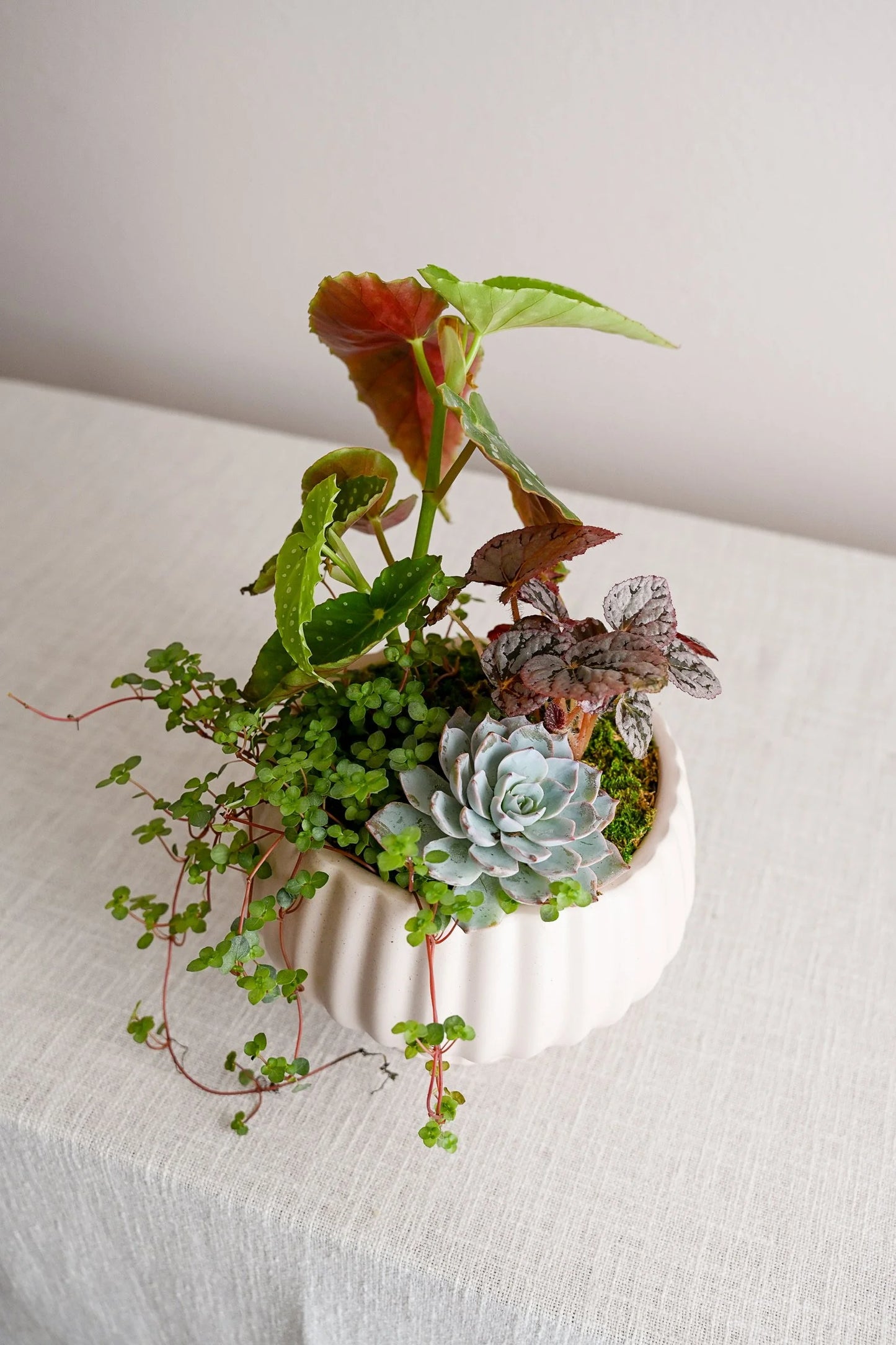 Botanical Bowl